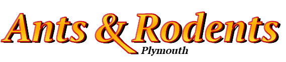 Plymouth Ant Exterminator & Rodent Control Company Logo